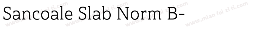 Sancoale Slab Norm B字体转换